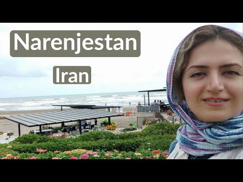       جشن پروانه ها در ساحل نارنجستان