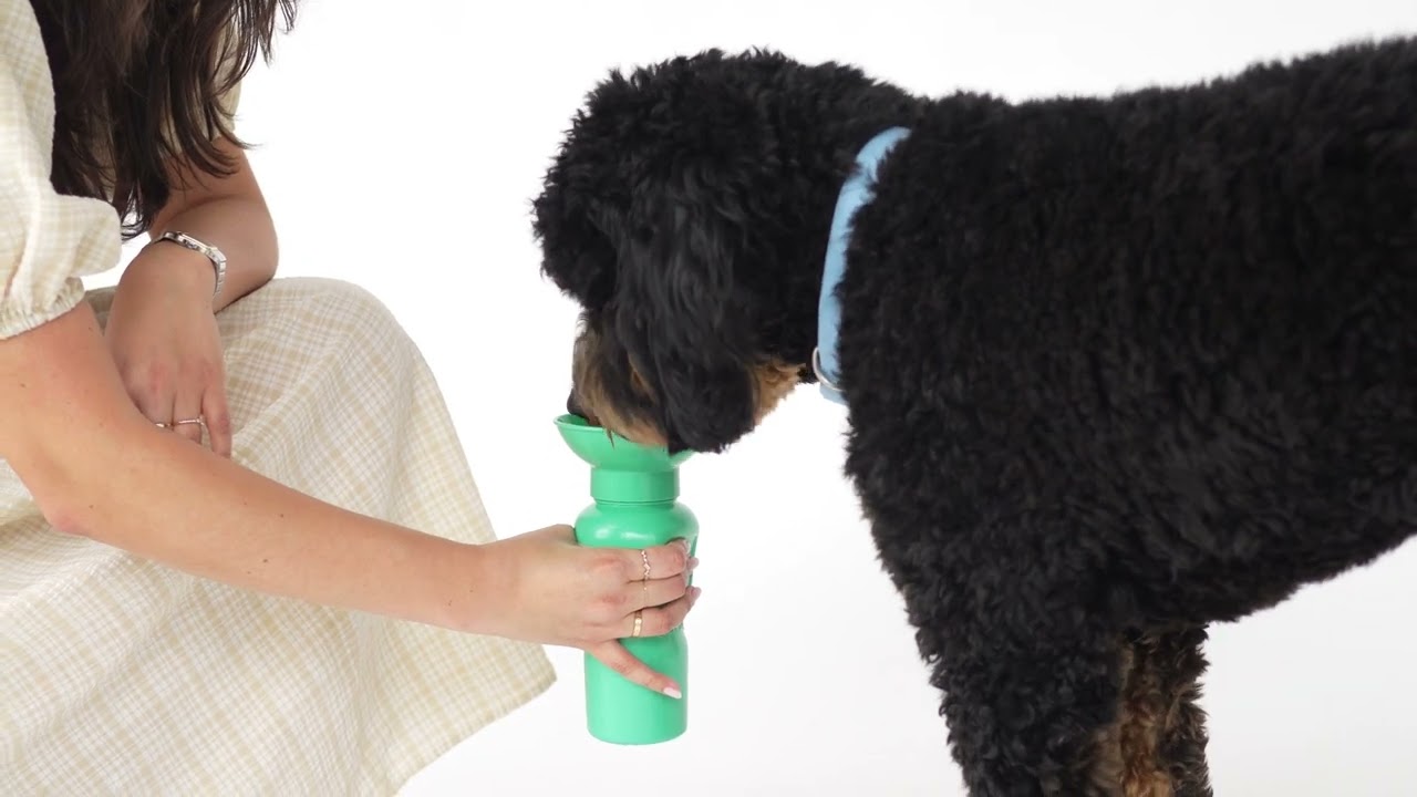 Classic Dog Travel Water Bottle