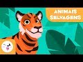 Animais selvagens para crianças - Vocabulário para crianças