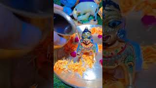 laddu gopalshortstatusवृन्दावनradhavallabh