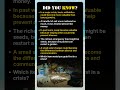 Items That Could Become Priceless During A Crisis