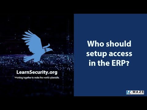 Who should setup access in the ERP (Financial Application)?