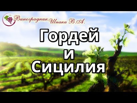 Гордей и Сицилия