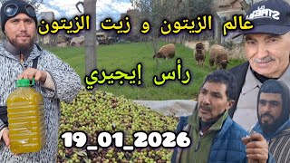 مستجدات وأخبار الزيتون و زيت الزيتون من رأس إيجيري إقليم الحاجب بتاريخ 19/01/1026