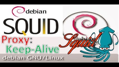 Auto Install Squid Proxy OS Server Debian
