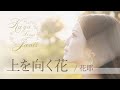 花耶『上を向く花』- Official audio