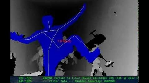Ubuntu + Kinect + OpenNI + PlayerView