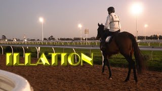 Meet Illation