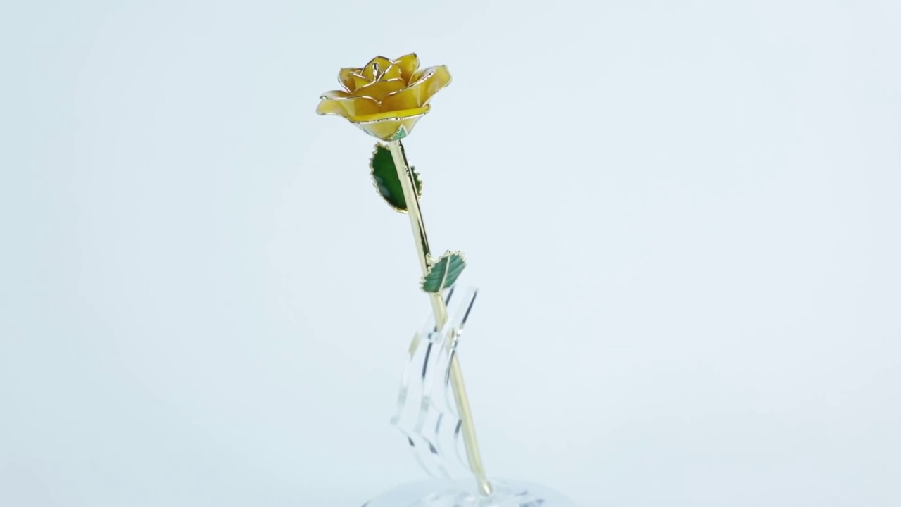 Goldenrod Gift video thumbnail