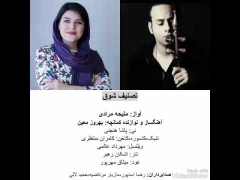 بهروز معین پاشاهنجنی اشکان رهبر کامران منتظری ملیحه مرادی