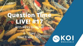 Koi Question Time LIVE #17