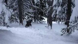 in the trees k2 face