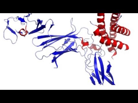 Rapid Reaction Monitoring of Proteins with Dual Comb Spectroscopy