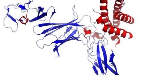 Rapid Reaction Monitoring of Proteins with Dual Comb Spectroscopy