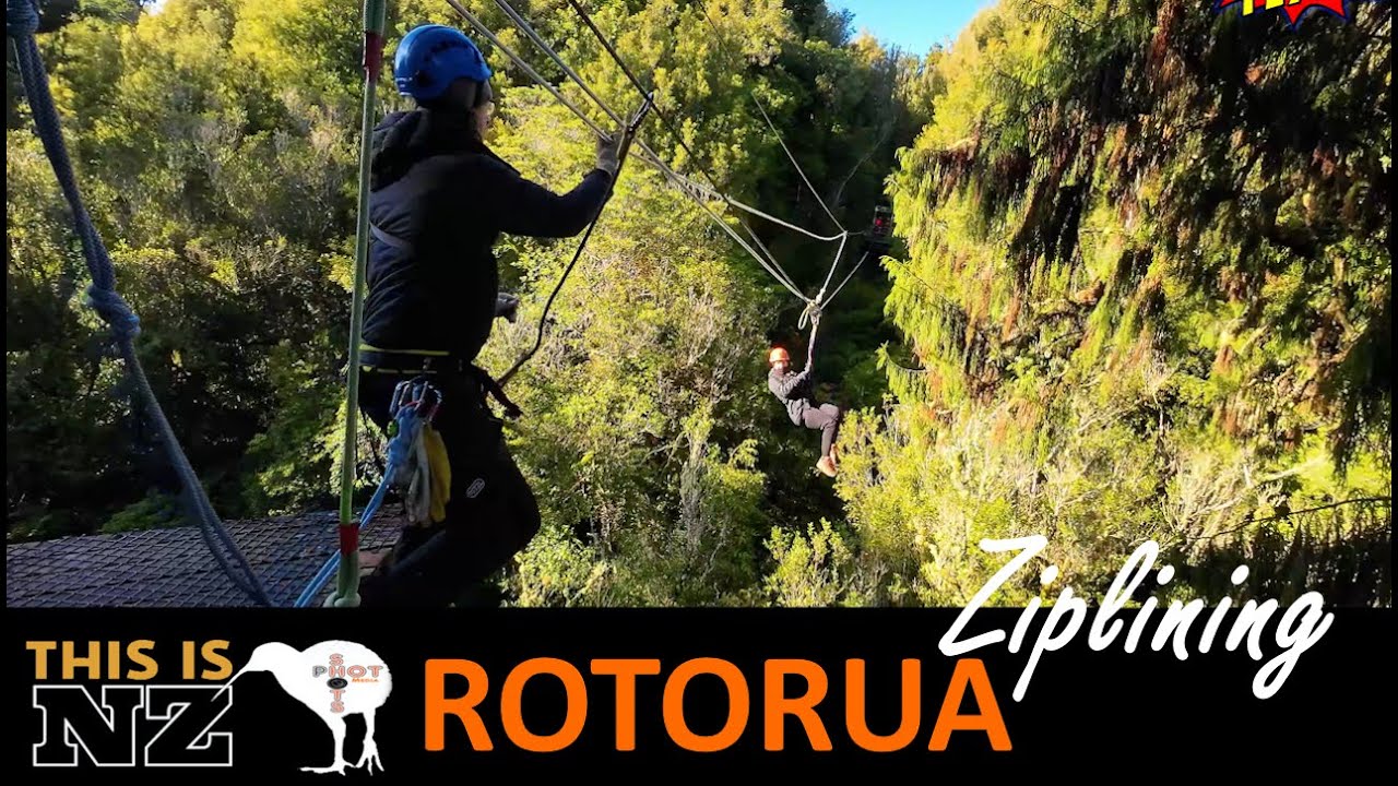 Canopy Tours Zipline in Rotorua   -  This is NZ (Aotearoa)