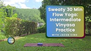 Sweaty 30 Min Flow Yoga: Intermediate Vinyasa Practice with Jacob Cino.  Daily / Morning practice