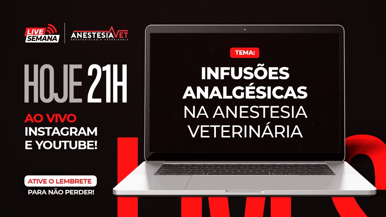 Infusões analgésicas na Anestesia Veterinária
