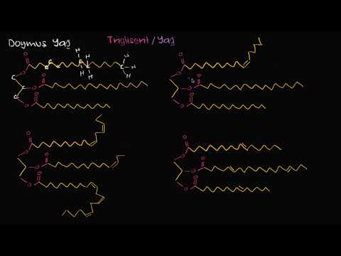 Doymuş Yağlar, Doymamış Yağlar ve Trans Yağlar (Fen Bilimleri) (Biyoloji)