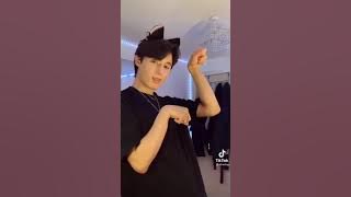 Maid/Cat Boy TikTok Compilation
