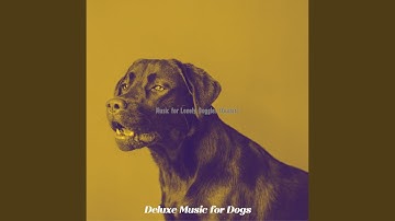 Pulsating Backdrops for Separation Anxiety