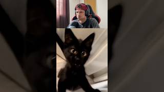 Tente Não Rir Com Água Na Boca