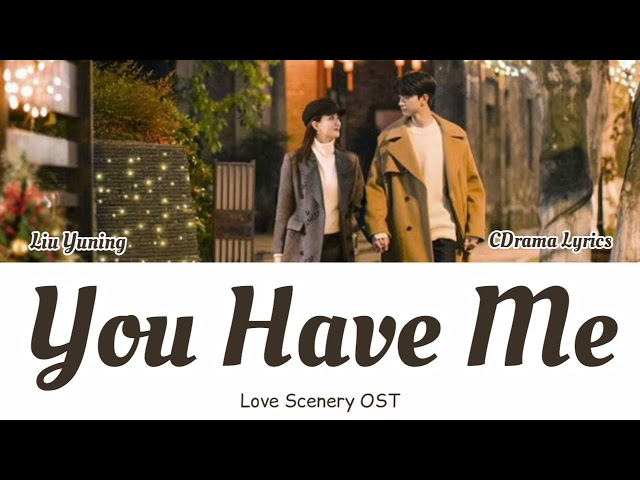 Liu Yuning (刘宇宁) - You Have Me (你是我所有) Love Scenery OST | Lyrics Terjemahan class=