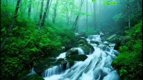 تلاوه رائعه من سورة مريم للشيخ خالد الجهيم