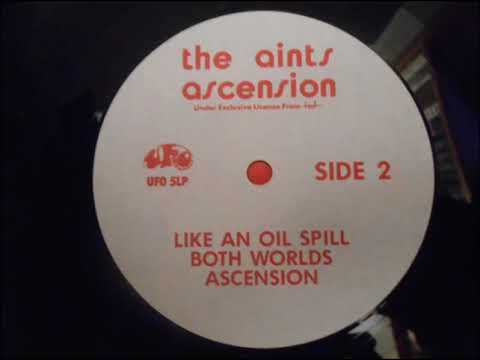 The Aints — Aints - Both Worlds