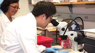 Duke Orthopaedics Research Labs Video