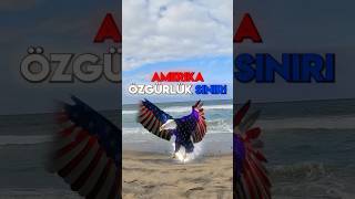 Amerika - Meka Sınır Duvarı