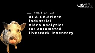 Vmx SILA: LSI - AI swine inventory. How to automate pigs counting by video intelligence?
