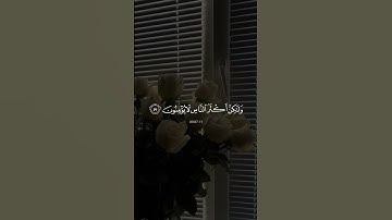 #خالد_الجليل #quran #تلاوة_خاشعة #koran #تلاوة_هادئة #محمد_بكار