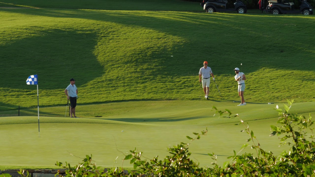 Gaillardia - Golf -  Portfolio