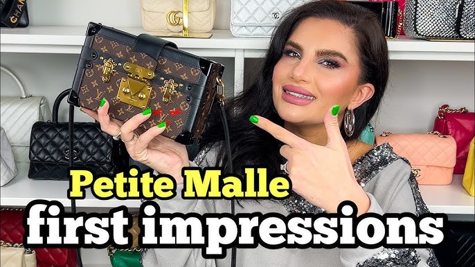 FABULOUS LOUIS VUITTON PETITE MALLE BAG UNBOXING, with DIOR, LV