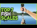 Best fish scales 2023  top 7 fishing scales for weighing big fish