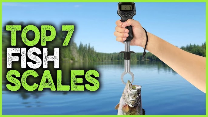 Top 10 Fish Scales Reviewed: Find Your Perfect Fishing Companion with Our  Expert Analysis. 