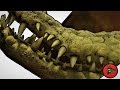 НЕ ЗАВОДИТЕ КРОКОДИЛОВ! История крокодила Тотошки.