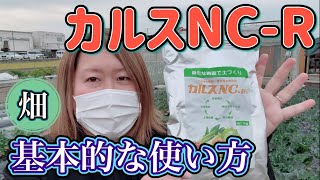 【カルス】土作りします！【地下茎】