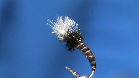 Fly Tying a Moose Mane Midge  with Jim Misiura