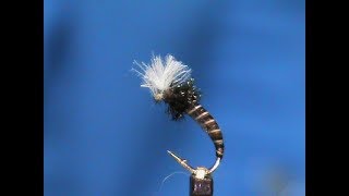 Fly Tying a Moose Mane Midge  with Jim Misiura