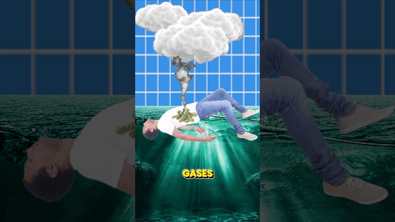 Why do dead bodies float on water? (Explained)" 🤷‍♂️