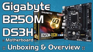 Budget Value Kabylake Motherboard :: Gigabyte B250M-DS3H Micro ATX :: Unboxing & Overview