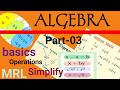 What is a Polynomial ? Operations on Polynomials. Learning Algebra, Concepts and Application