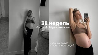 видео: сколько стоит контракт на роды в Коммунарке💸как я выбирала врача и акушерку | перестановка в зале 🙌🏻 картинка: сколько стоит контракт на роды в Коммунарке💸как я выбирала врача и акушерку | перестановка в зале 🙌🏻