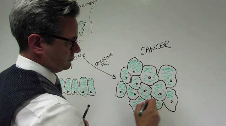 Where Does Cancer Form?/ Cell Aug 25, 2016 (Vol. 1...