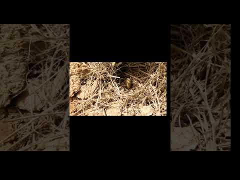 زنجان اردبیل مرز بین دو استان جاده قدیمش  