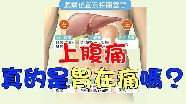 上腹痛 真的是胃在痛吗？｜好心肝˙好健康 - 天天要闻