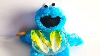 Cookie Monster Eat Salat