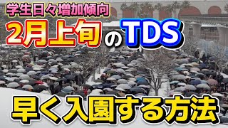 【超必見】学生激増した2月上旬のディズニーシー開園待ち攻略法【見ないと失敗します】