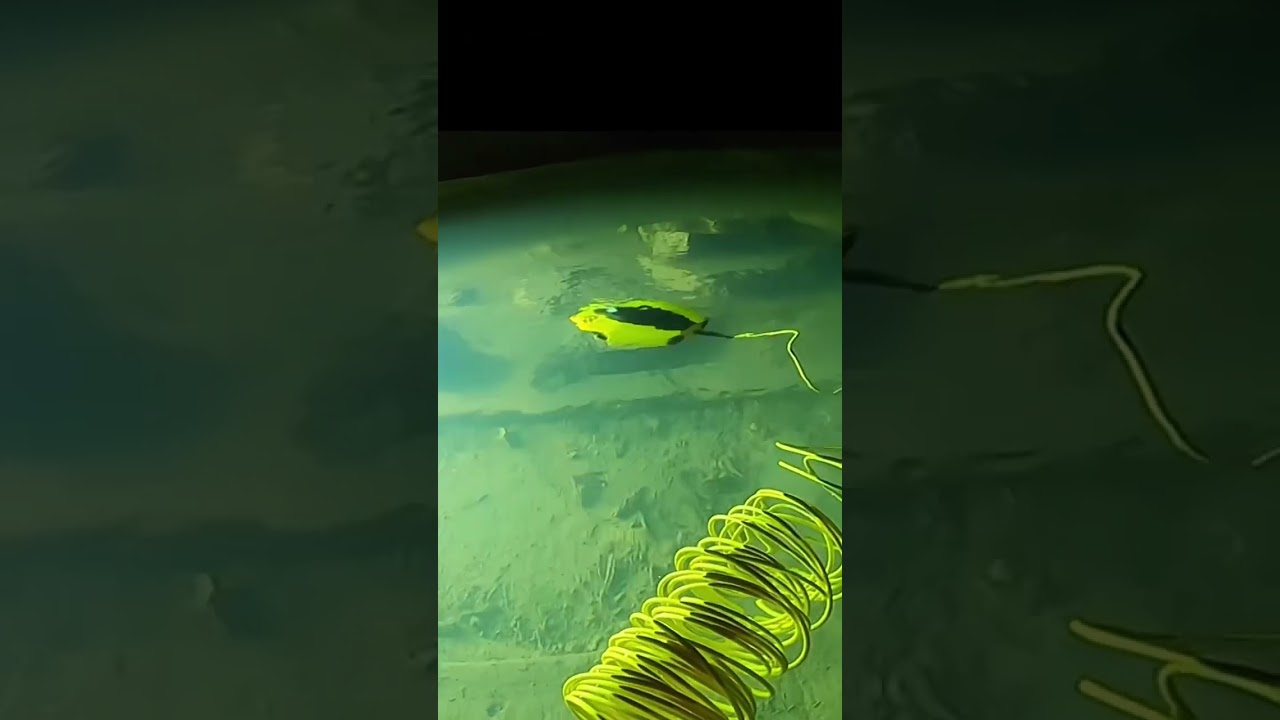 CHASING DORY in a MINE 